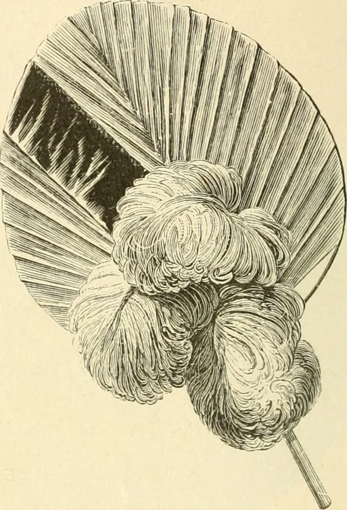 An illustration from Needle and brush:, 1889, leaf 165