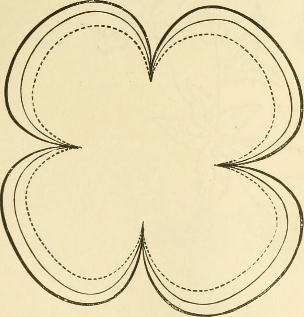 An illustration from Needle and brush:, 1889, leaf 172