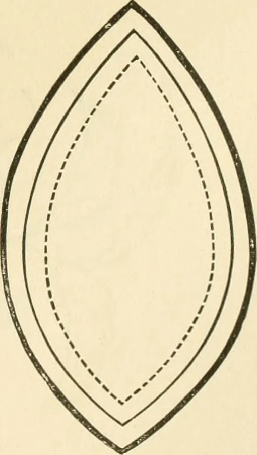 An illustration from Needle and brush:, 1889, leaf 172