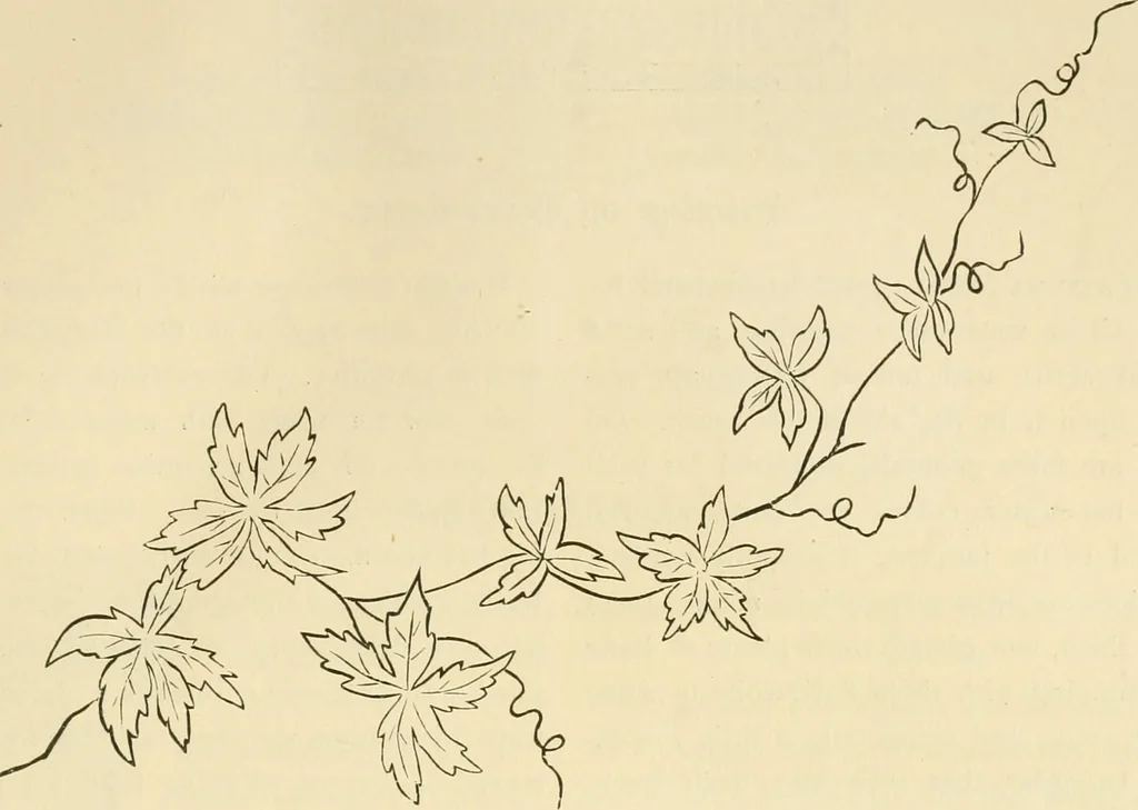 An illustration from Needle and brush:, 1889, leaf 174