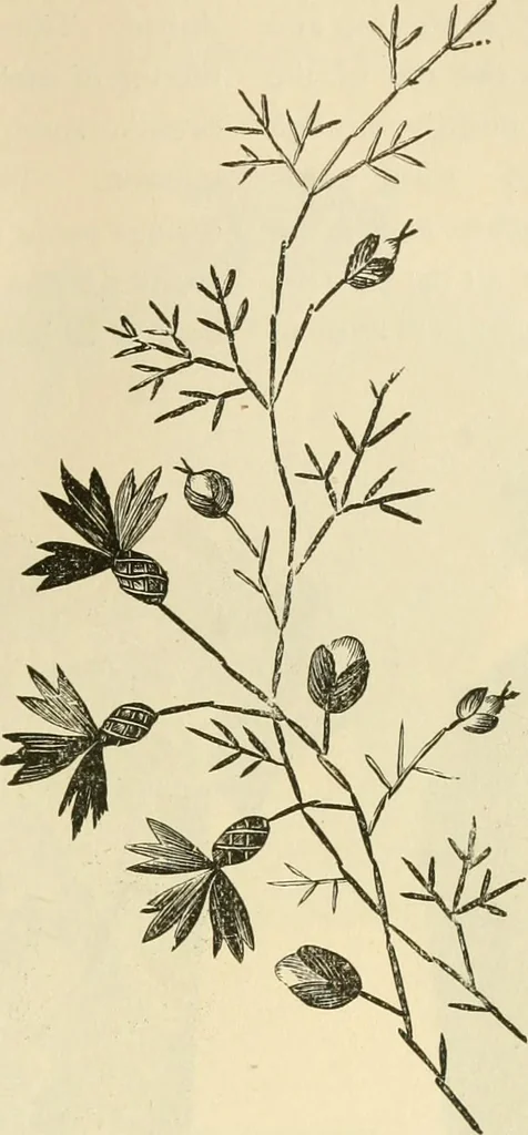 An illustration from Needle and brush:, 1889, leaf 178