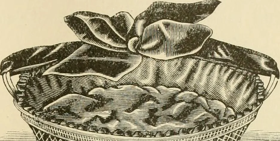 An illustration from Needle and brush:, 1889, leaf 182