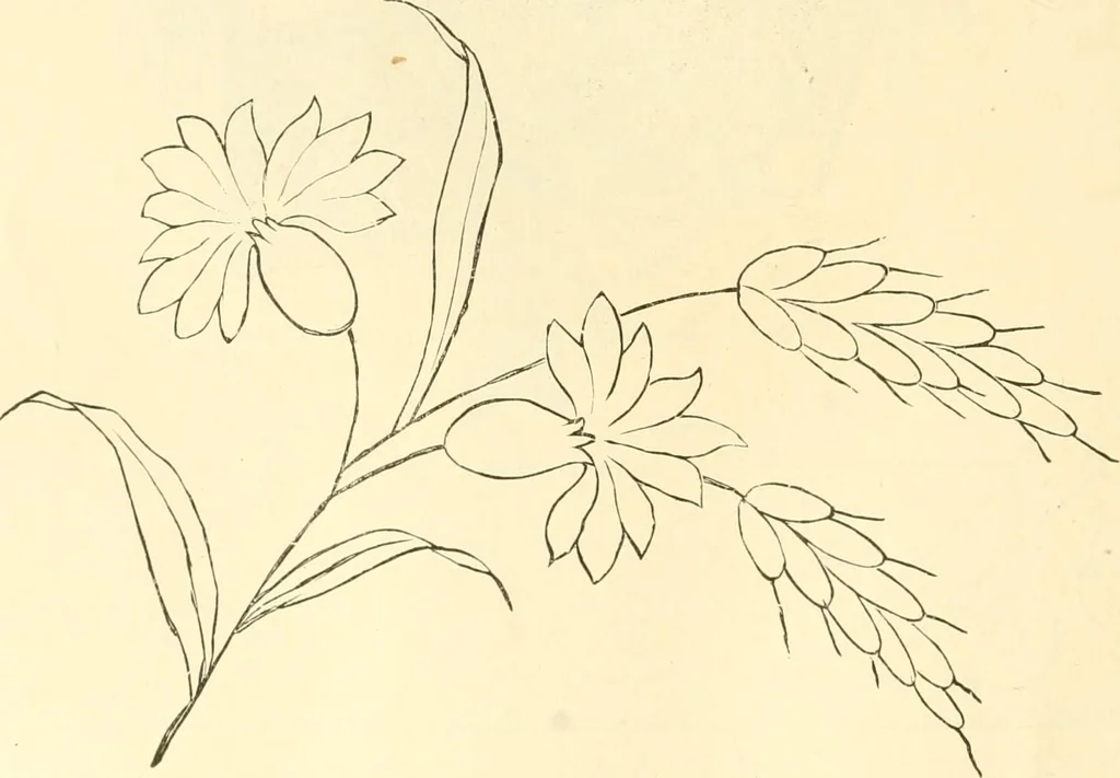 An illustration from Needle and brush:, 1889, leaf 189