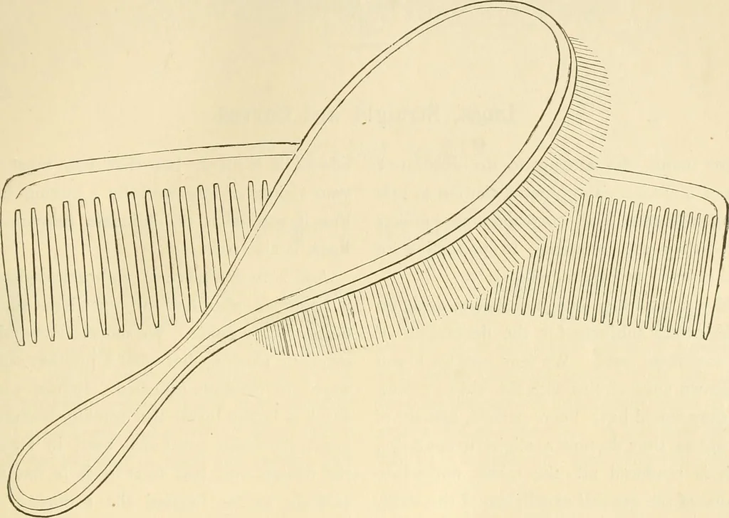 An illustration from Needle and brush:, 1889, leaf 200
