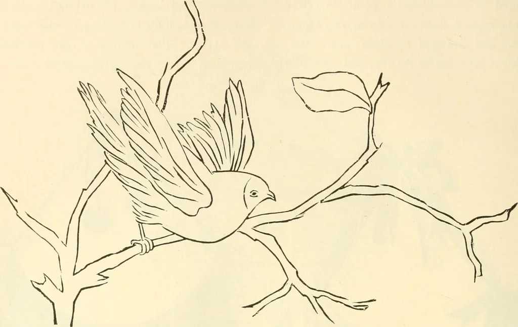 An illustration from Needle and brush:, 1889, leaf 207