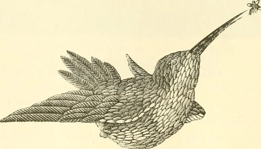 An illustration from Needle and brush:, 1889, leaf 209