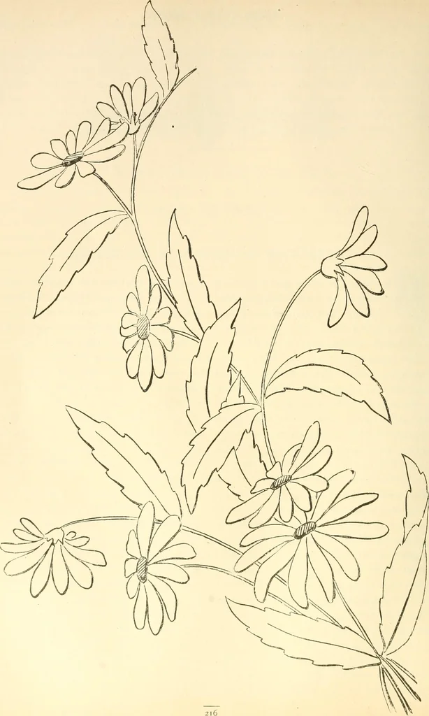 An illustration from Needle and brush:, 1889, leaf 221