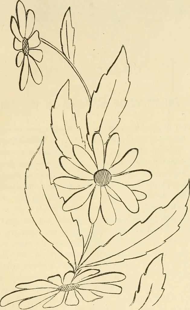 An illustration from Needle and brush:, 1889, leaf 222