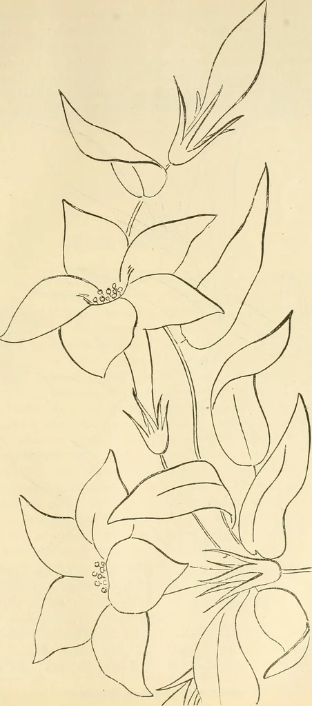 An illustration from Needle and brush:, 1889, leaf 224
