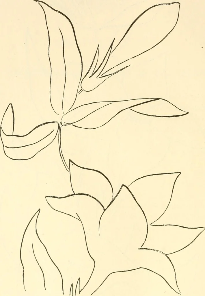 An illustration from Needle and brush:, 1889, leaf 225