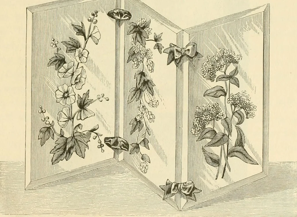 An illustration from Needle and brush:, 1889, leaf 230