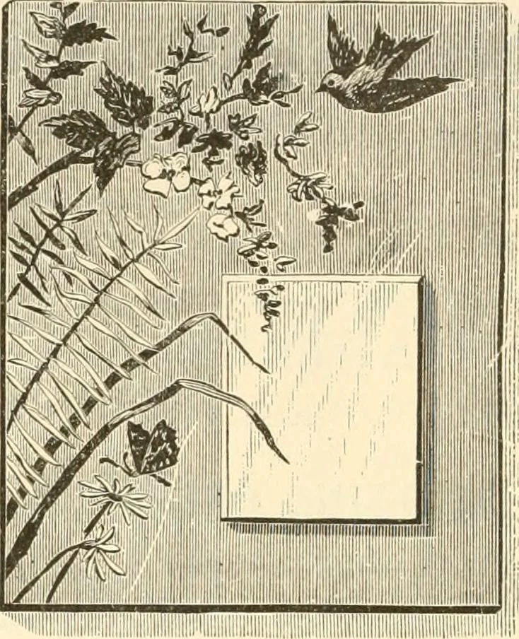 An illustration from Needle and brush:, 1889, leaf 231