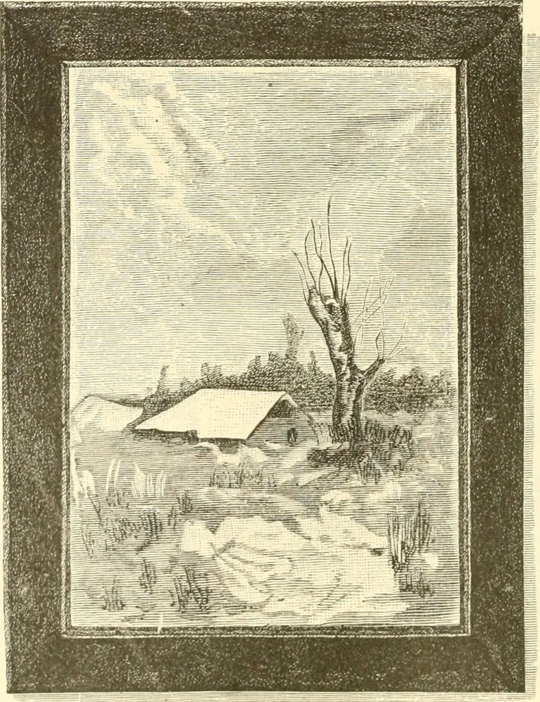 An illustration from Needle and brush:, 1889, leaf 231