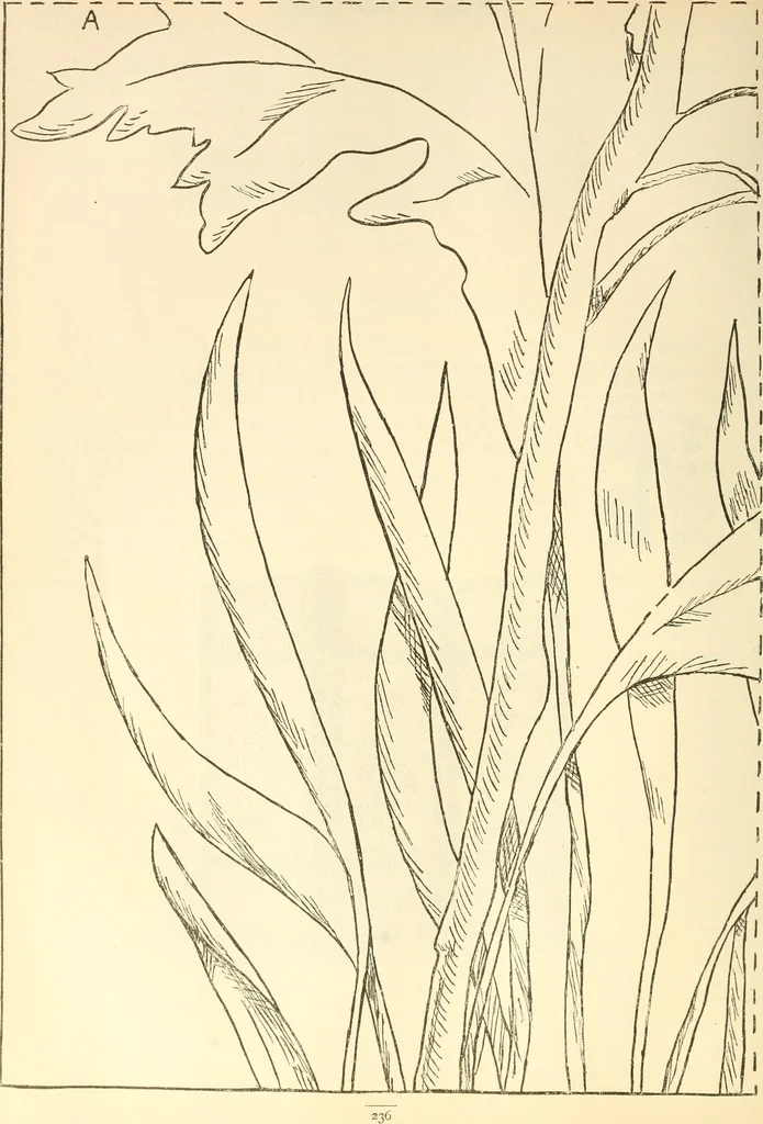 An illustration from Needle and brush:, 1889, leaf 241