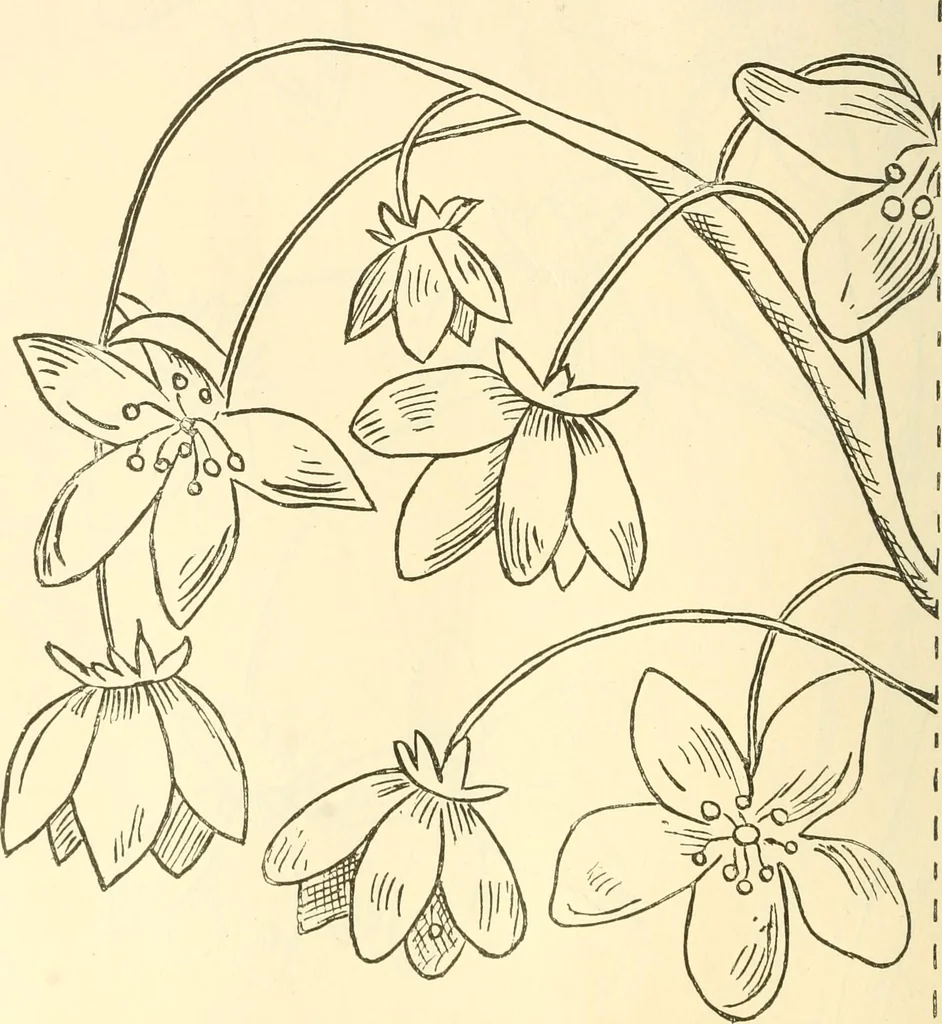 An illustration from Needle and brush:, 1889, leaf 245