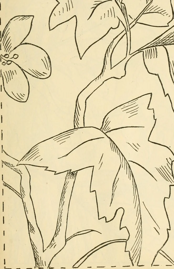An illustration from Needle and brush:, 1889, leaf 246