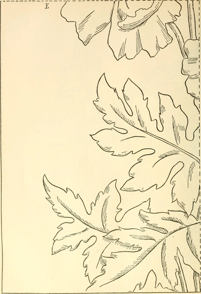 An illustration from Needle and brush:, 1889, leaf 247