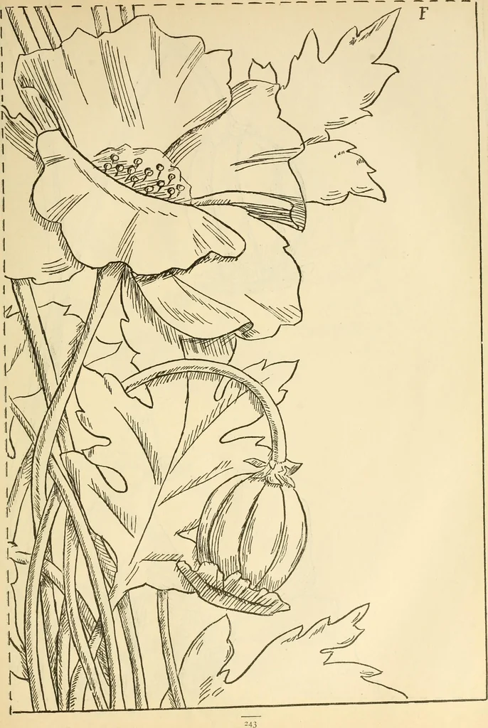 An illustration from Needle and brush:, 1889, leaf 248