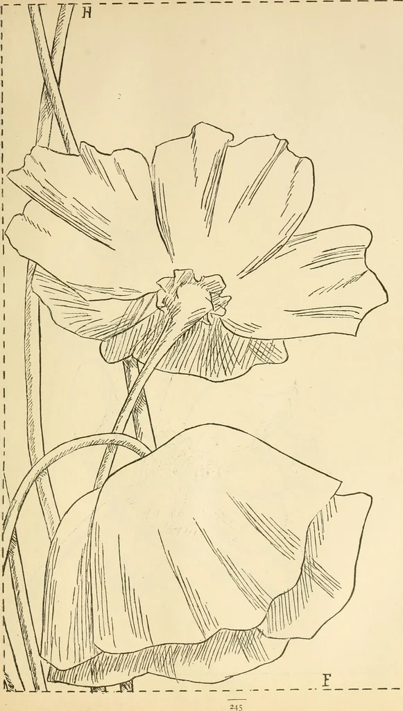 An illustration from Needle and brush:, 1889, leaf 250