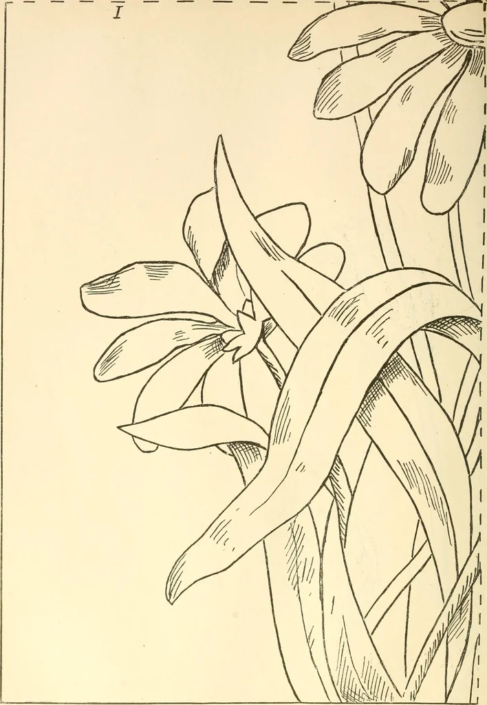 An illustration from Needle and brush:, 1889, leaf 253