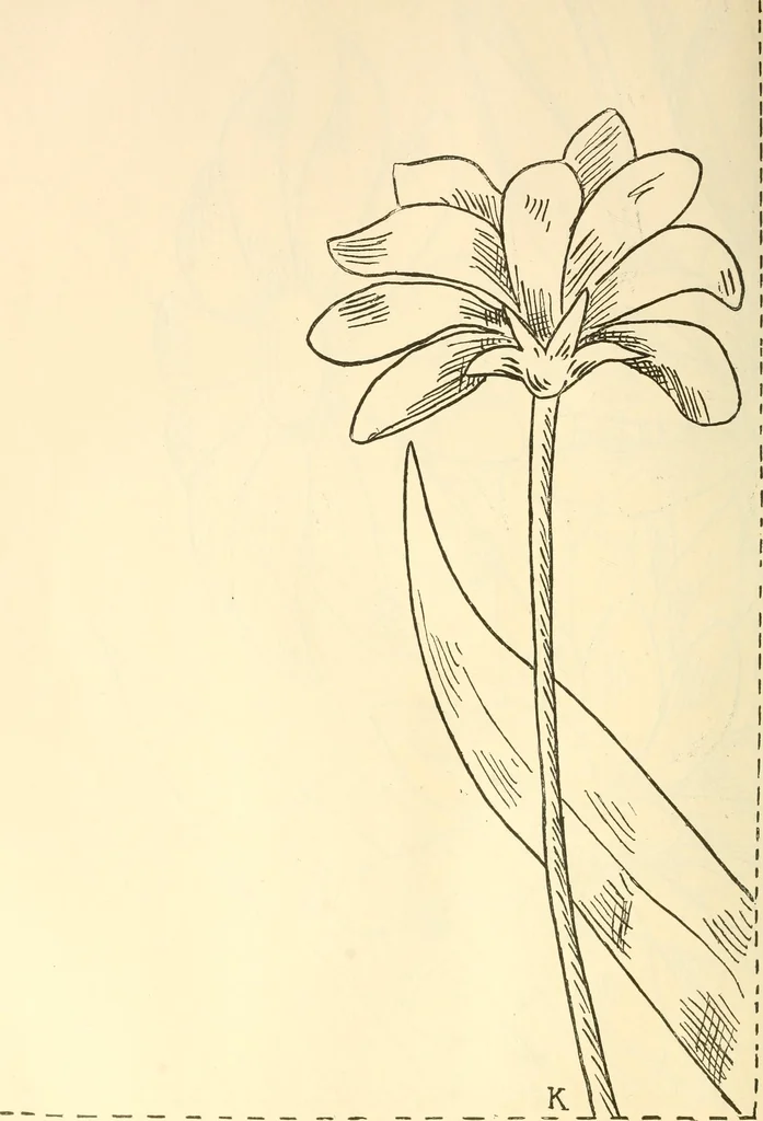 An illustration from Needle and brush:, 1889, leaf 257