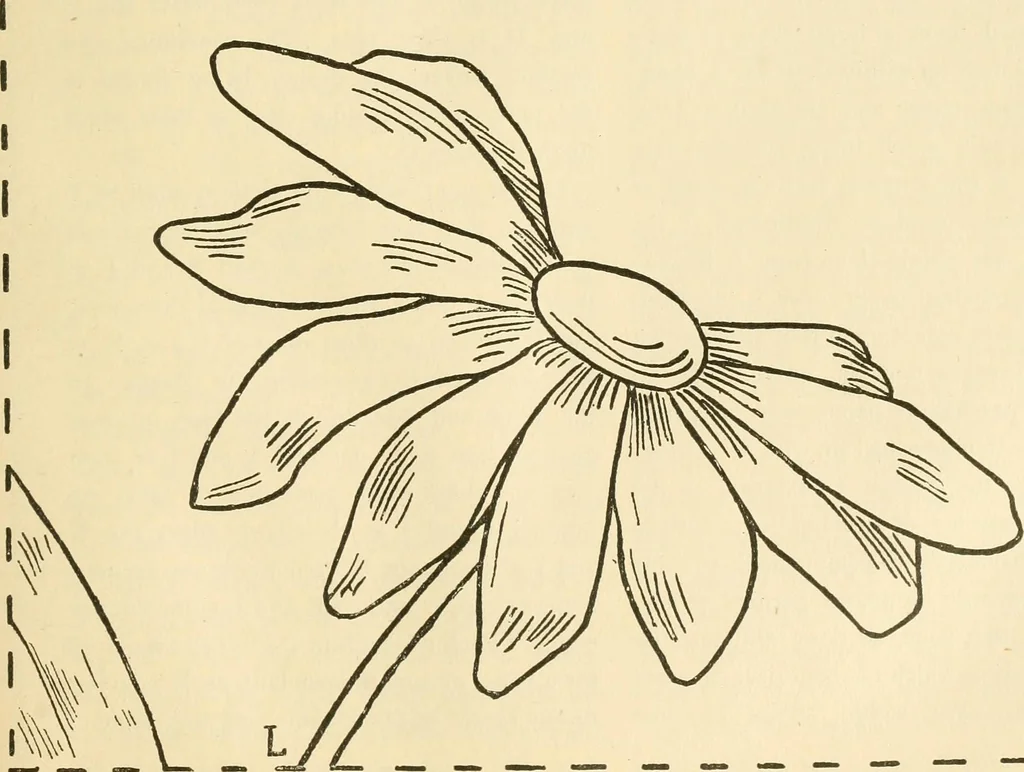 An illustration from Needle and brush:, 1889, leaf 258