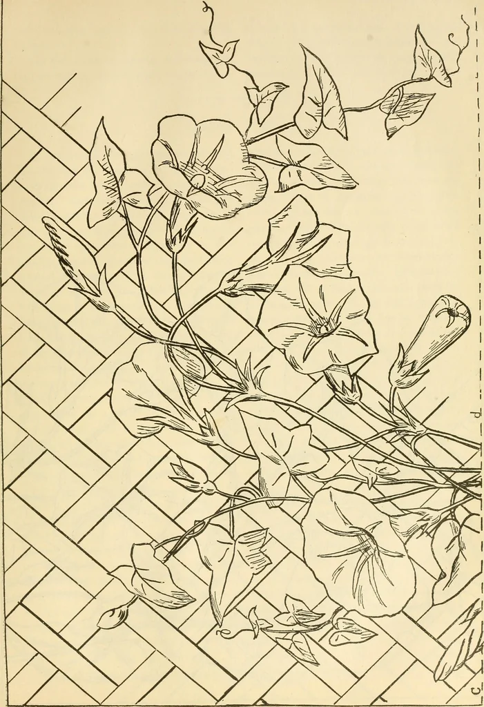 An illustration from Needle and brush:, 1889, leaf 264