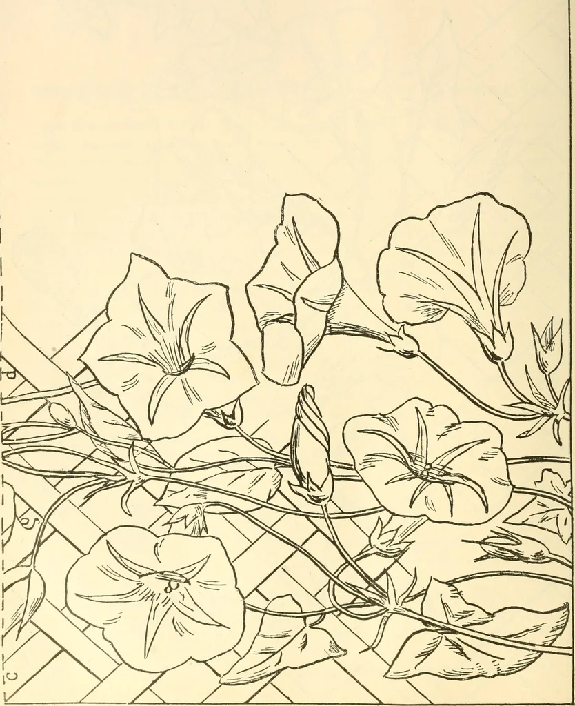 An illustration from Needle and brush:, 1889, leaf 265