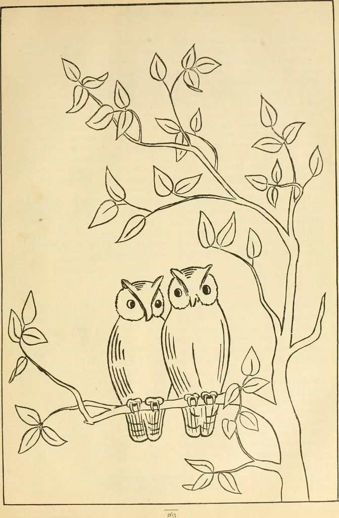 An illustration from Needle and brush:, 1889, leaf 268