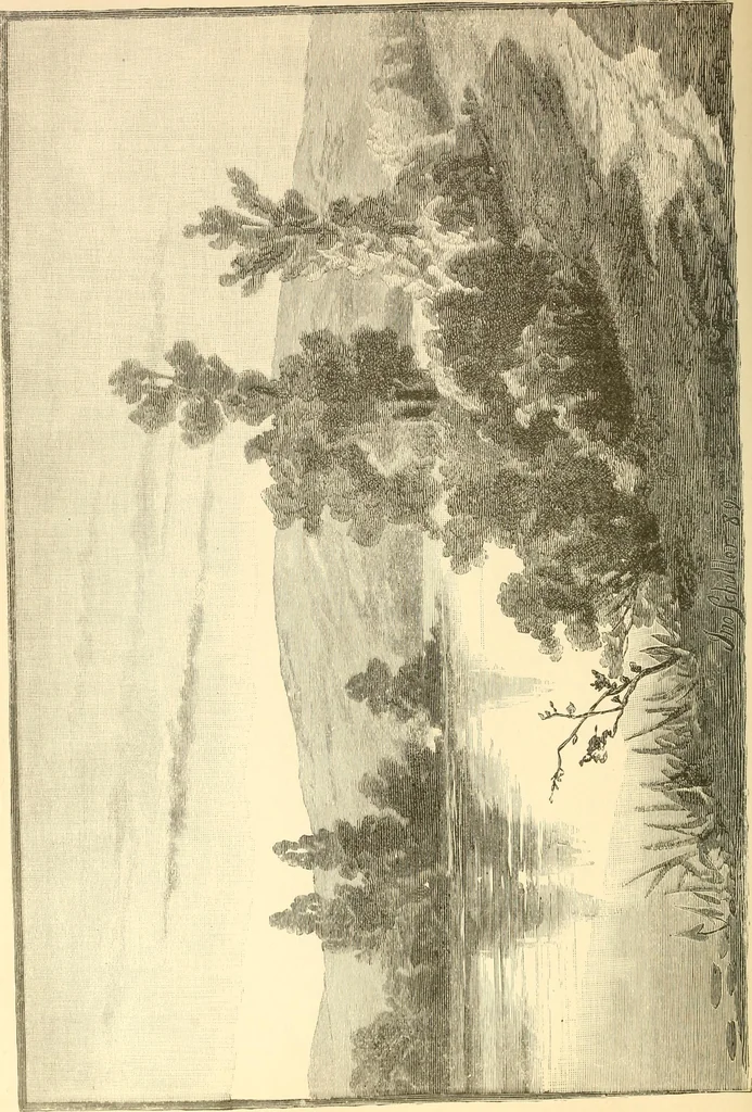 An illustration from Needle and brush:, 1889, leaf 281