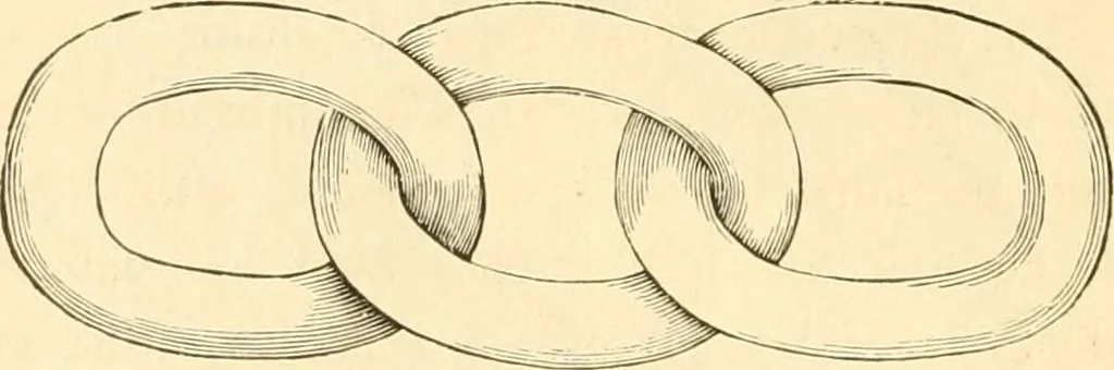 An illustration from Needle and brush:, 1889, leaf 303