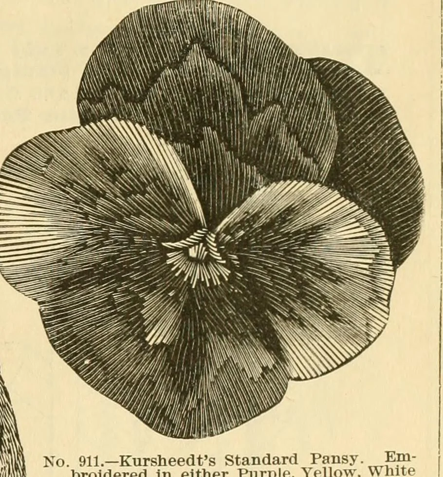 An illustration from Needle and brush:, 1889, leaf 308