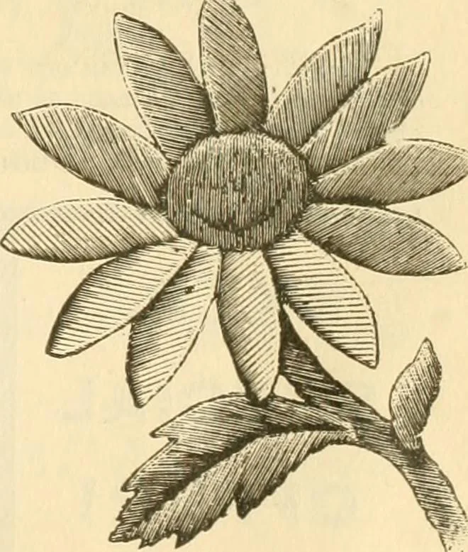 An illustration from Needle and brush:, 1889, leaf 308