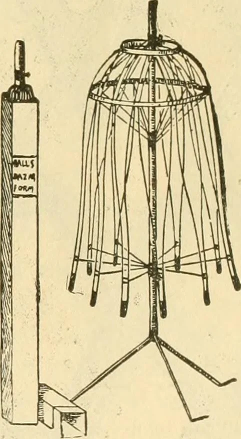 An illustration from Needle and brush:, 1889, leaf 310