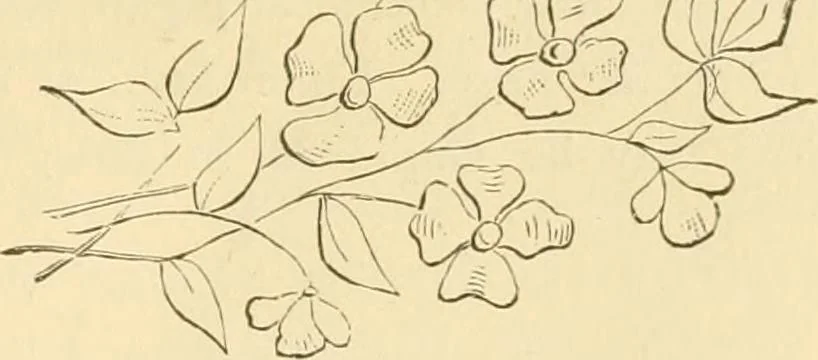 An illustration from Needle and brush:, 1889, leaf 42