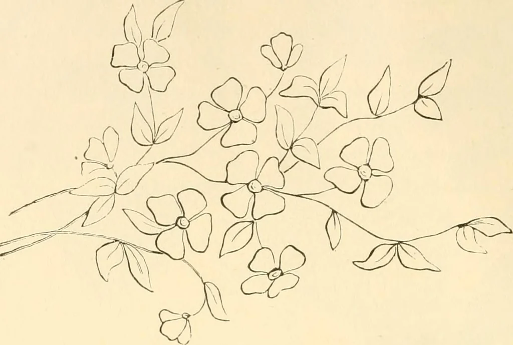 An illustration from Needle and brush:, 1889, leaf 43