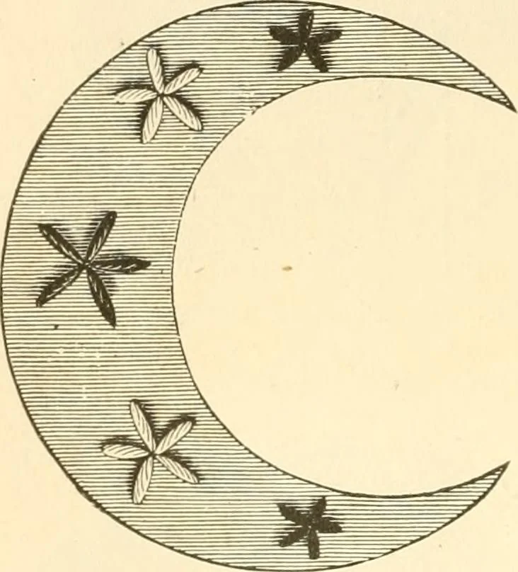 An illustration from Needle and brush:, 1889, leaf 47