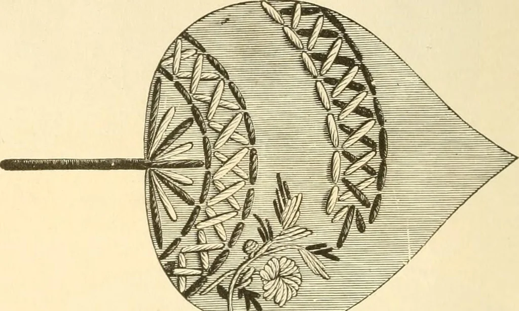 An illustration from Needle and brush:, 1889, leaf 47