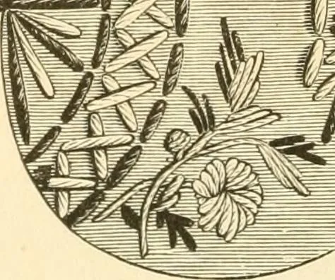 An illustration from Needle and brush:, 1889, leaf 47