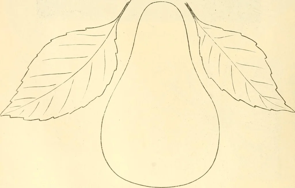 An illustration from Needle and brush:, 1889, leaf 49