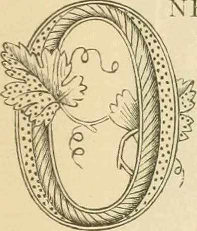 An illustration from Needle and brush:, 1889, leaf 62