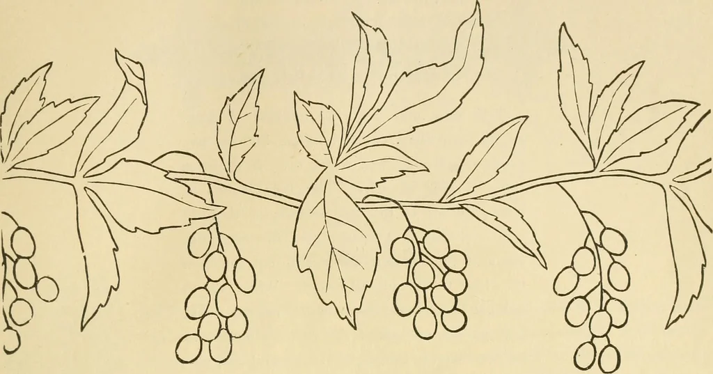 An illustration from Needle and brush:, 1889, leaf 64