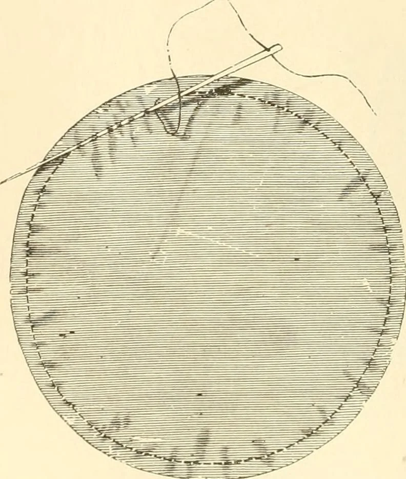 An illustration from Needle and brush:, 1889, leaf 71