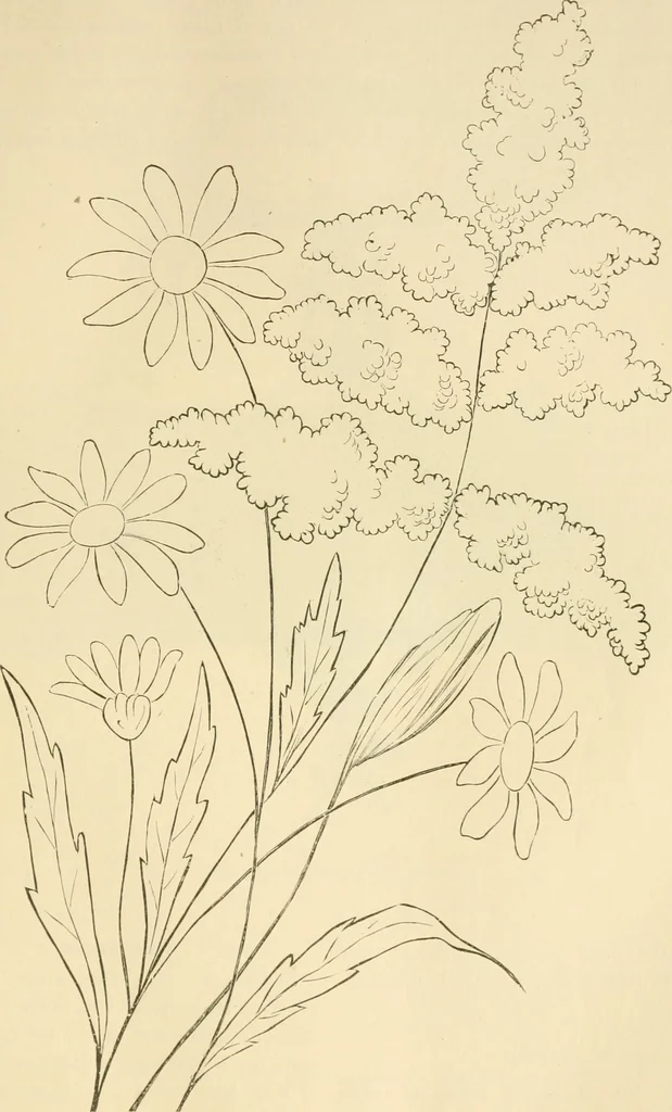 An illustration from Needle and brush:, 1889, leaf 74