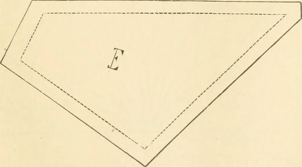 An illustration from Needle and brush:, 1889, leaf 82