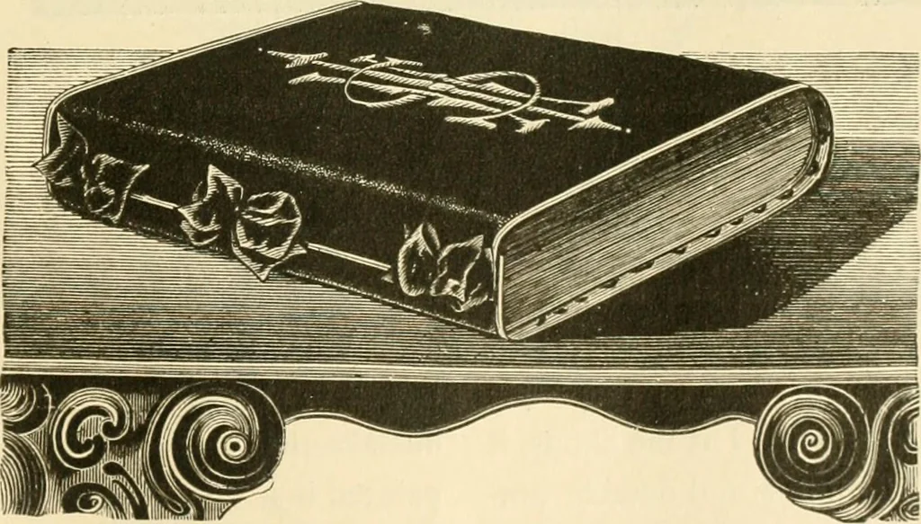 An illustration from Needle and brush:, 1889, leaf 90