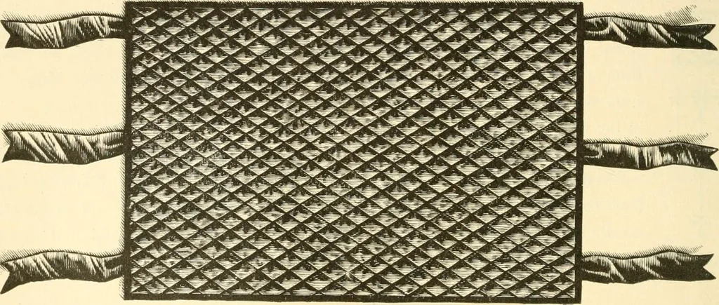 An illustration from Needle and brush:, 1889, leaf 91