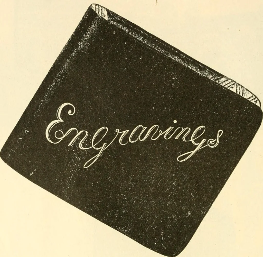 An illustration from Needle and brush:, 1889, leaf 95