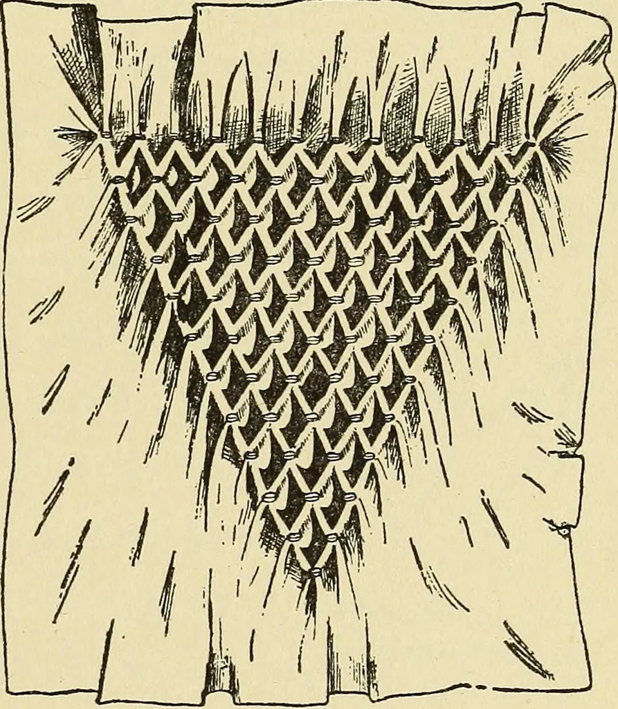 An illustration from Needlecraft, 1911, leaf 142