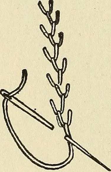 An illustration from Needlecraft, 1911, leaf 143